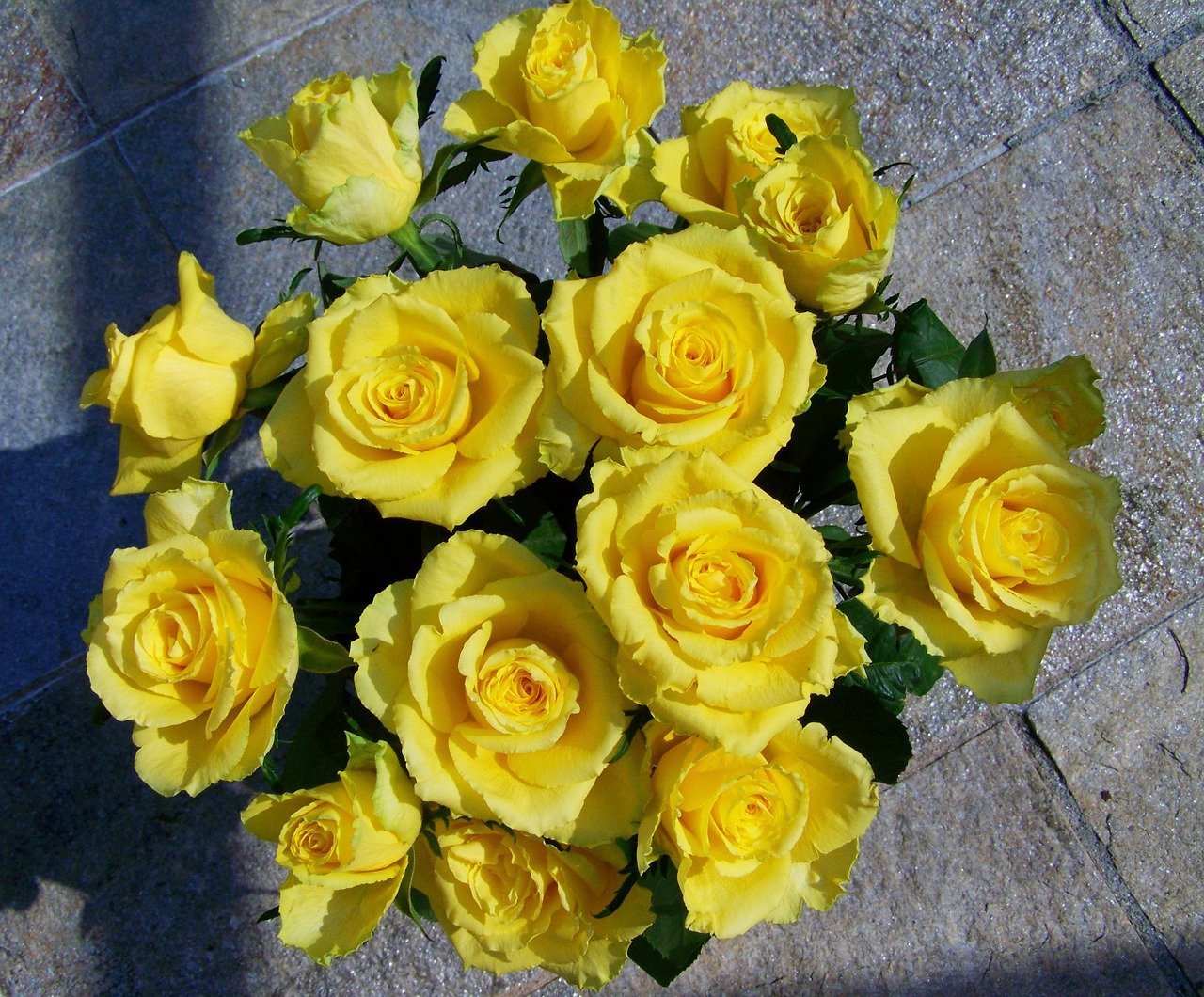 Можно ли дарить желтые розы