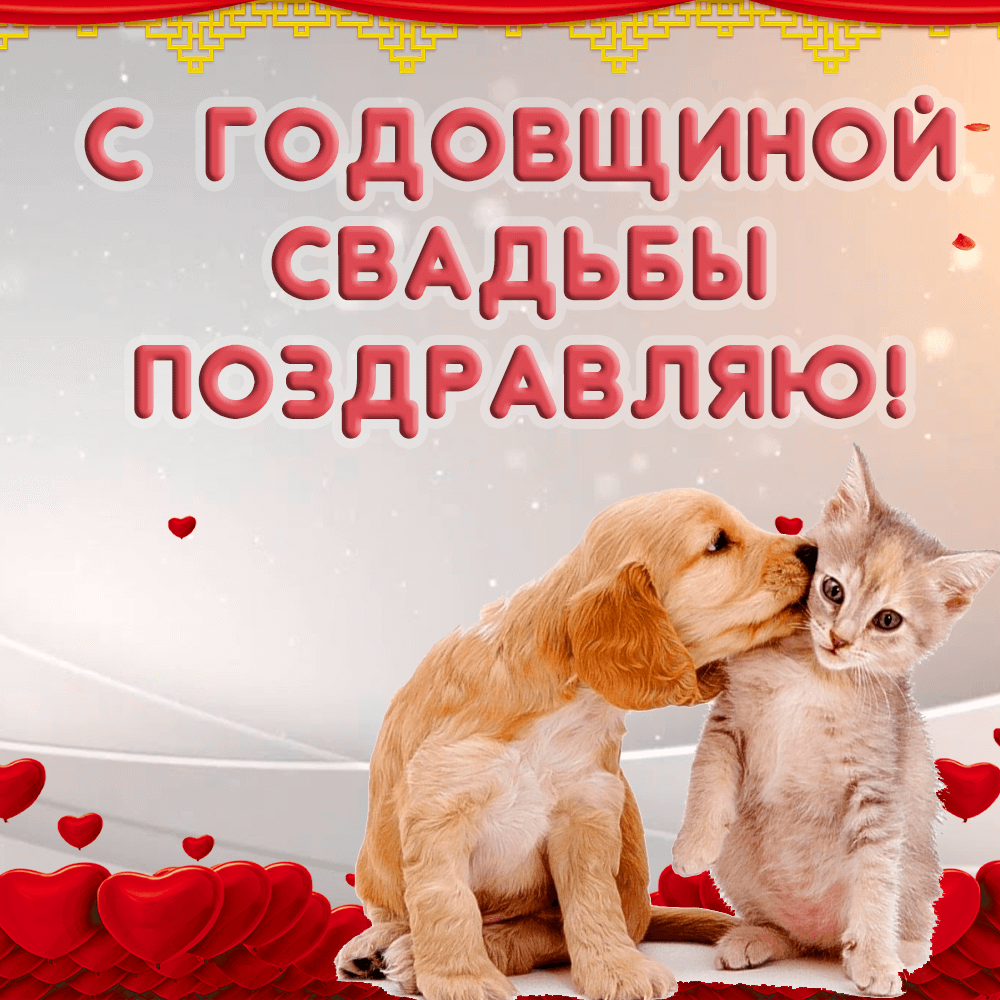 Прикольная открытка с собачкой и кошкой на годовщину свадьбы
