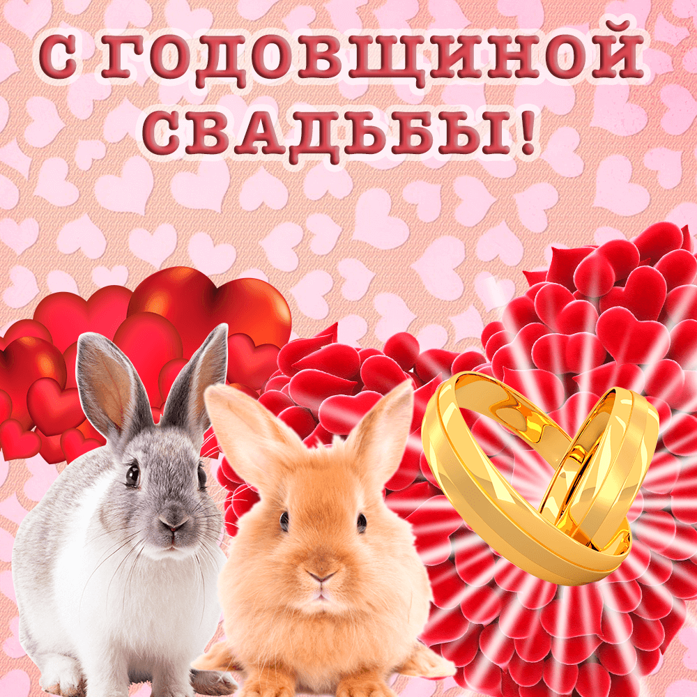 Прикольная открытка с милыми кроликами