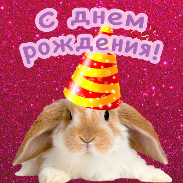 Красивый кролик на поздравительной открытке