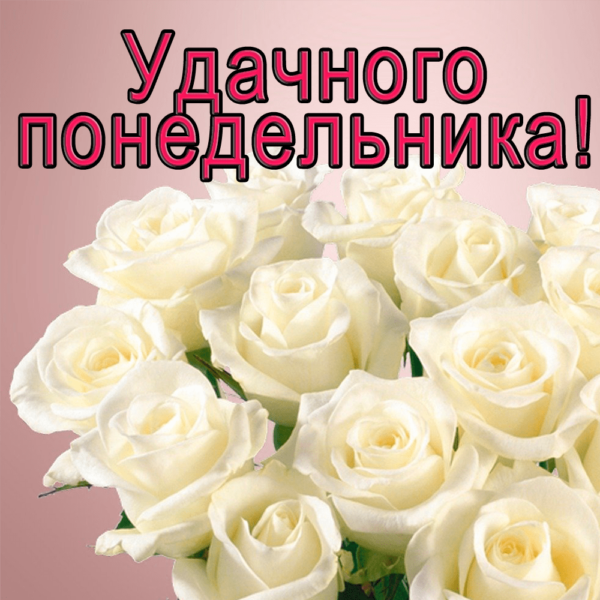 Букет красивых белых роз