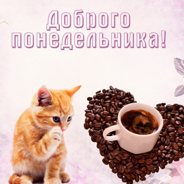 Кофе и котик "Доброго понедельника!"