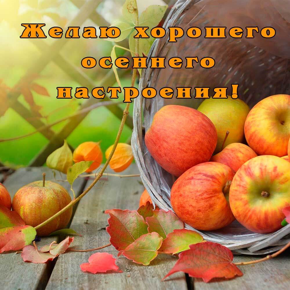 Яркая открытка с яблоками хорошего настроения