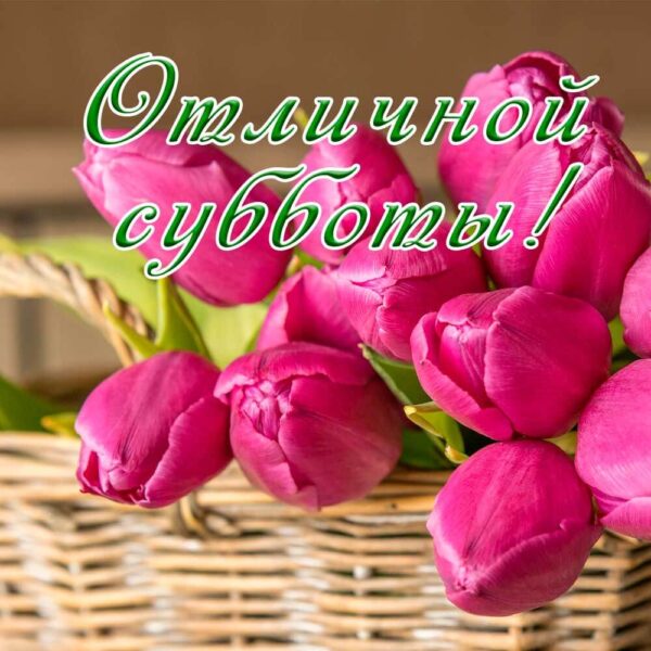 Яркие тюльпаны на открытке-пожелании