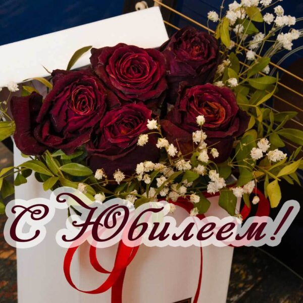 Бордовые розы на открытке мужчина в юбилей