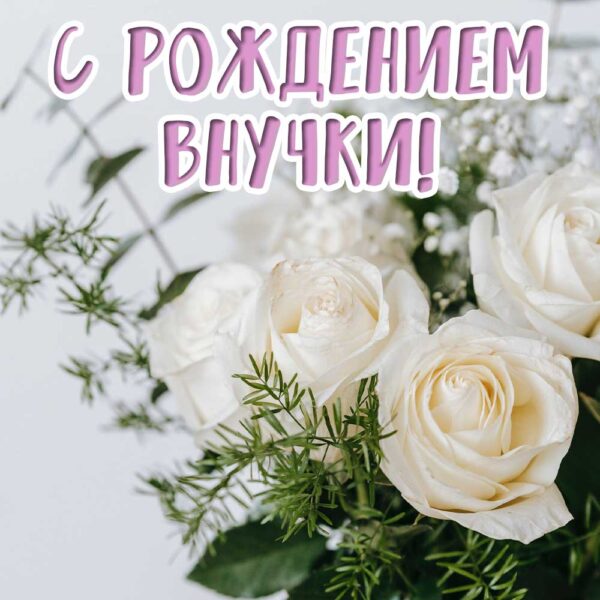 Нежная открытка на рождение внучки с цветами
