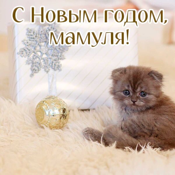 Открытка с котенком для мамы на Новый год
