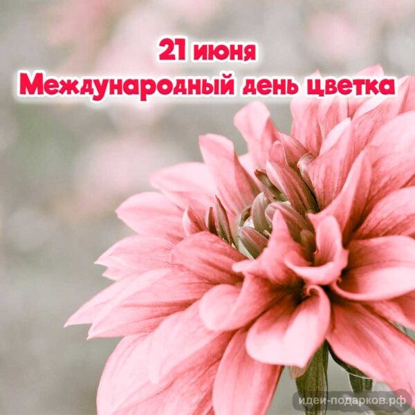 Открытка Международный день цветка
