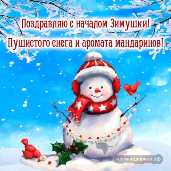 Прикольная открытка "С первым днём зимы!"